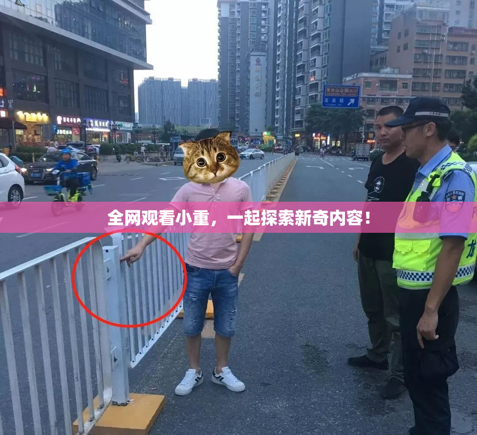 全网观看小重，一起探索新奇内容！