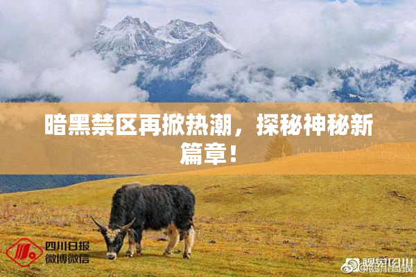 暗黑禁区再掀热潮，探秘神秘新篇章！