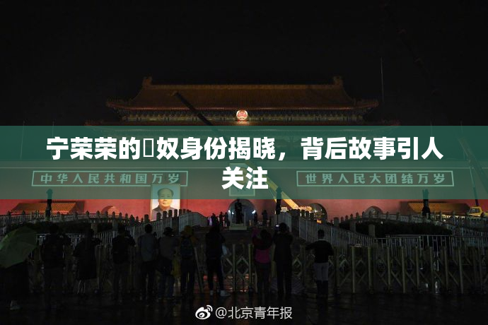 宁荣荣的婬奴身份揭晓，背后故事引人关注