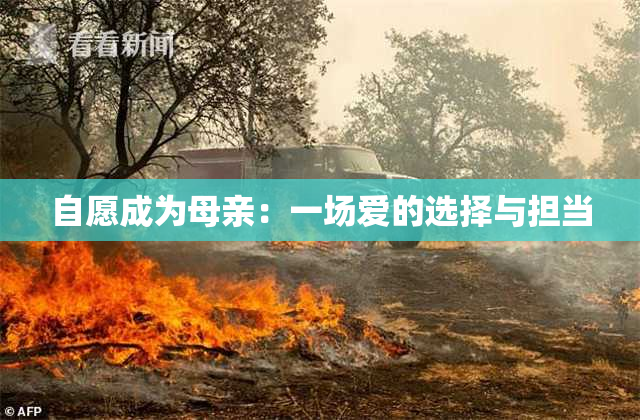 自愿成为母亲：一场爱的选择与担当