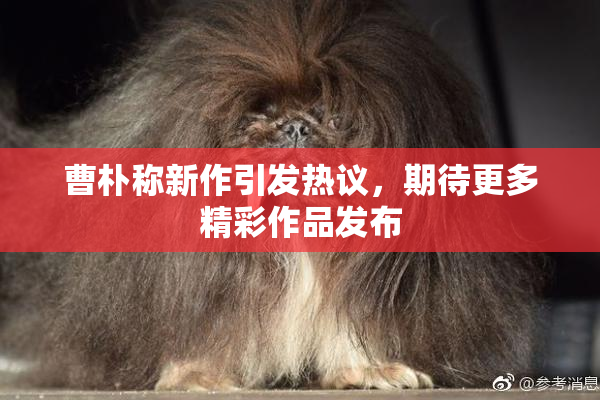 曹朴称新作引发热议，期待更多精彩作品发布