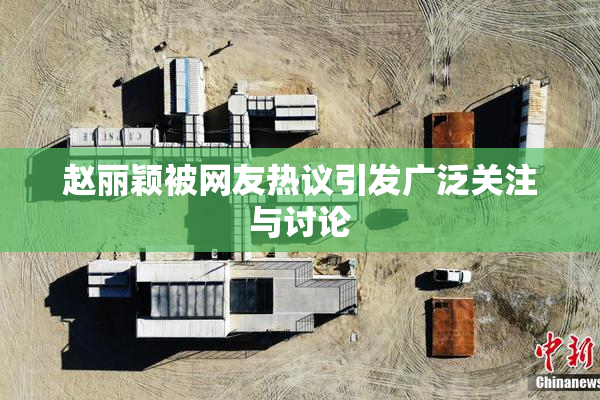 赵丽颖被网友热议引发广泛关注与讨论