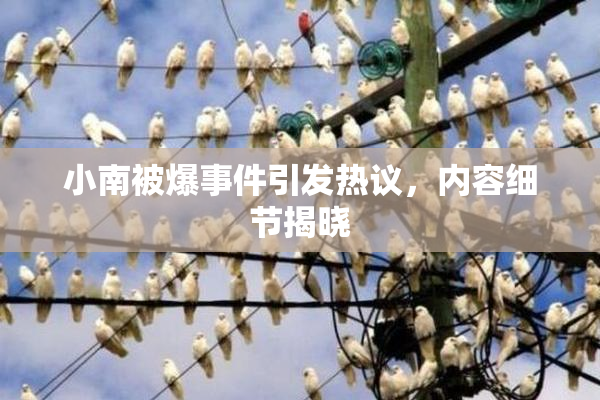 小南被爆事件引发热议，内容细节揭晓