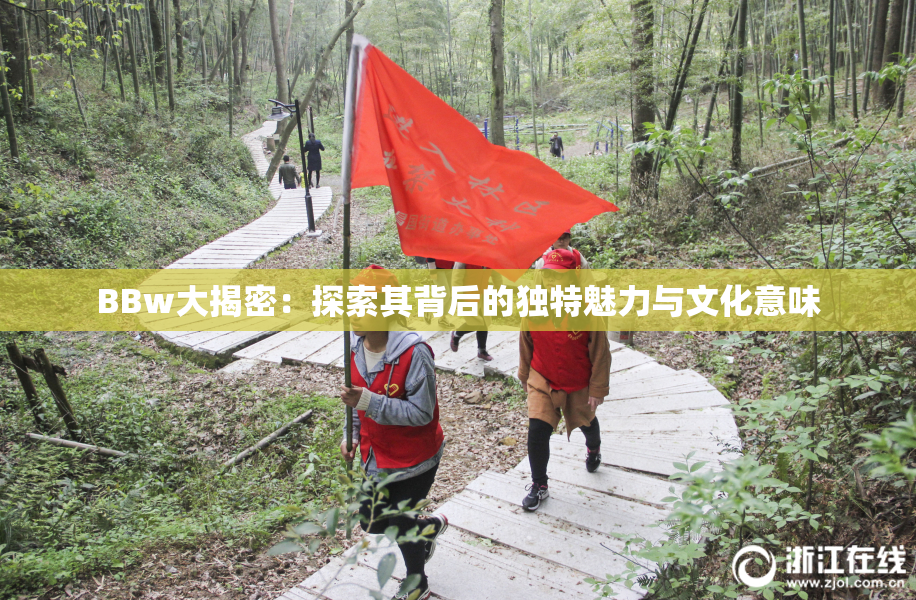 BBw大揭密：探索其背后的独特魅力与文化意味