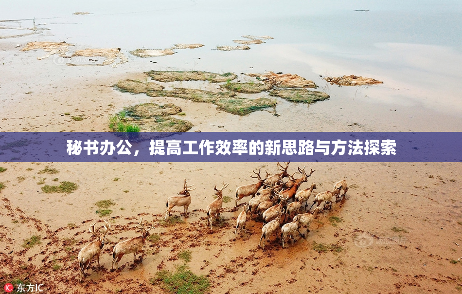 秘书办公，提高工作效率的新思路与方法探索
