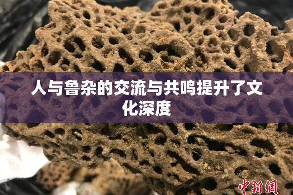 人与鲁杂的交流与共鸣提升了文化深度