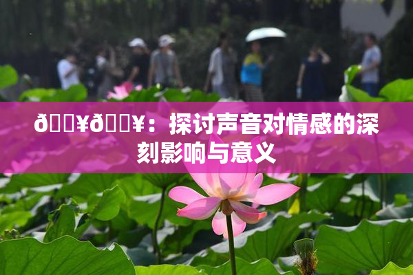 🔥🔥：探讨声音对情感的深刻影响与意义