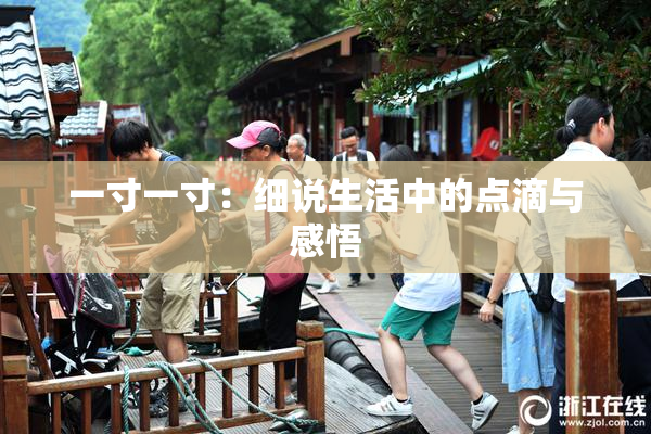 一寸一寸：细说生活中的点滴与感悟