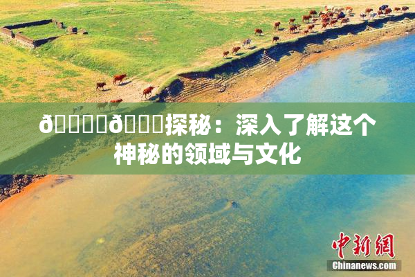 🔞‌🍌探秘：深入了解这个神秘的领域与文化