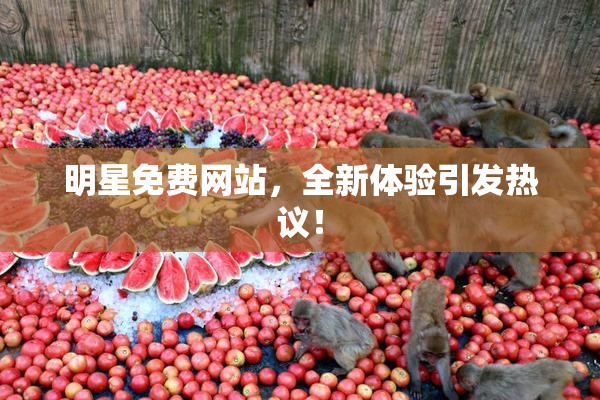 明星免费网站，全新体验引发热议！