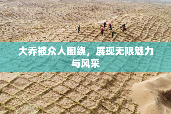 大乔被众人围绕，展现无限魅力与风采