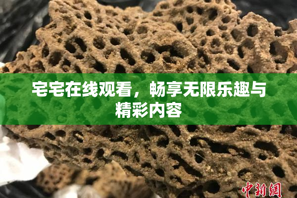 宅宅在线观看，畅享无限乐趣与精彩内容