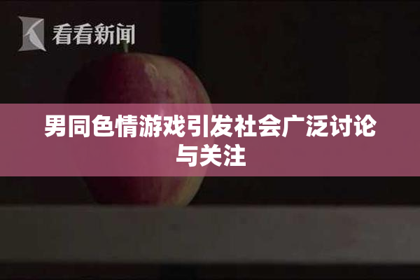 男同色情游戏引发社会广泛讨论与关注