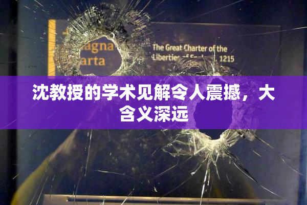 沈教授的学术见解令人震撼，大含义深远