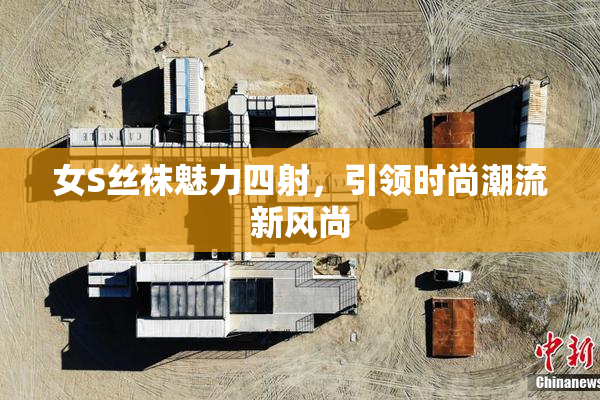 女S丝袜魅力四射，引领时尚潮流新风尚