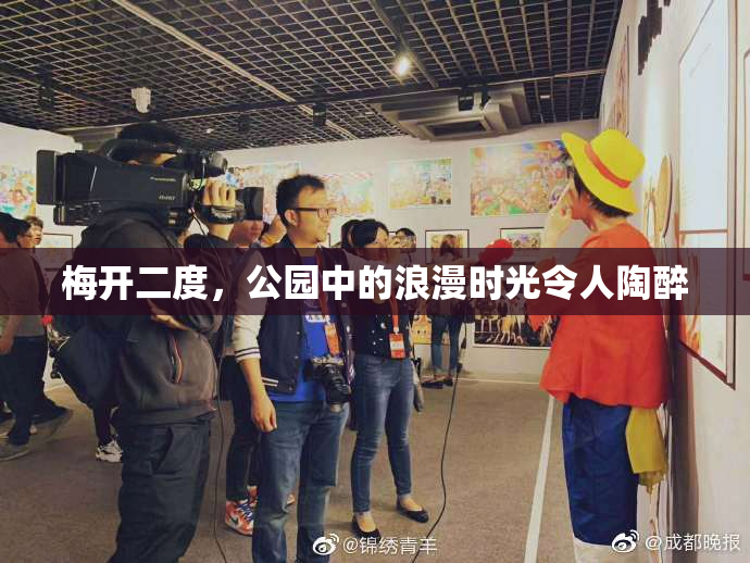 梅开二度，公园中的浪漫时光令人陶醉