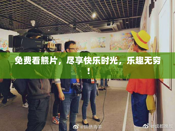 免费看熊片，尽享快乐时光，乐趣无穷！