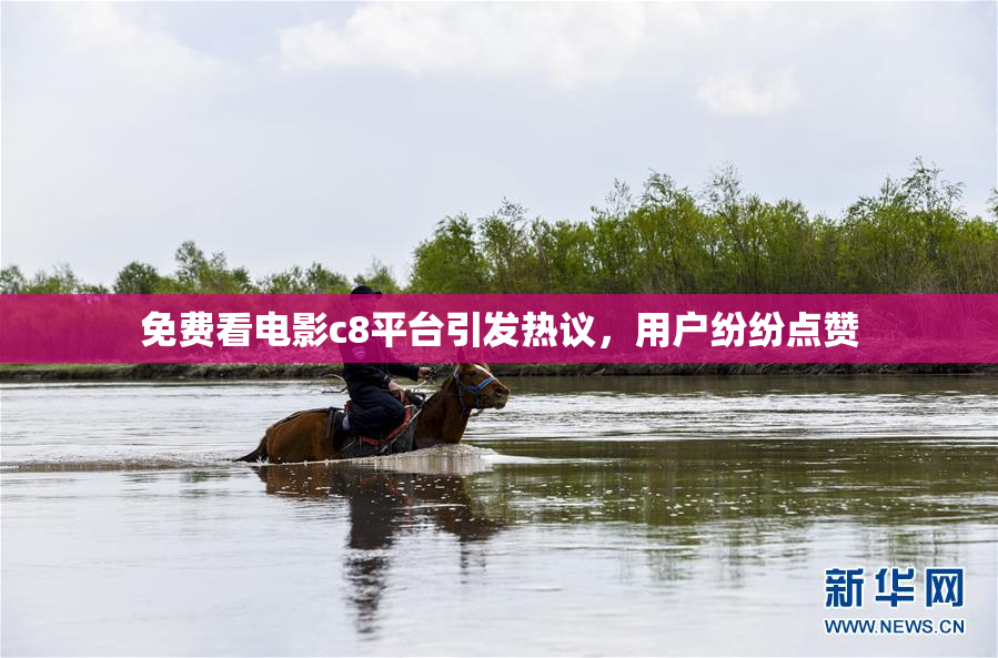 免费看电影c8平台引发热议，用户纷纷点赞