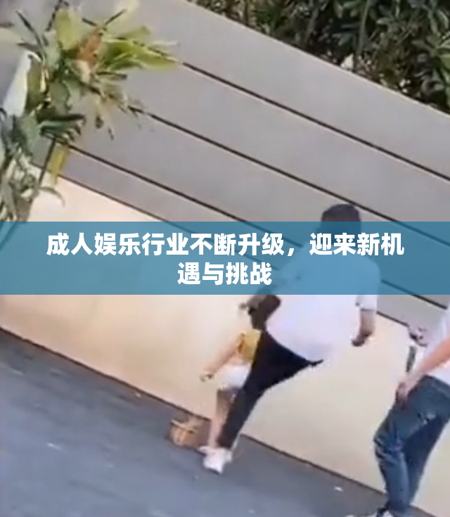 成人娱乐行业不断升级，迎来新机遇与挑战