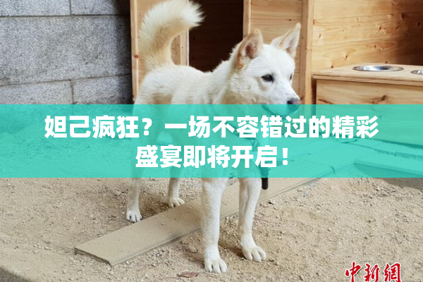 妲己疯狂？一场不容错过的精彩盛宴即将开启！