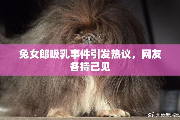 兔女郎吸乳事件引发热议，网友各持己见