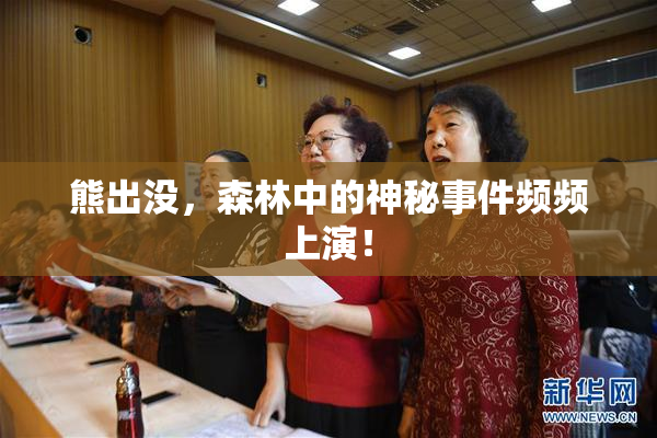 熊出没，森林中的神秘事件频频上演！