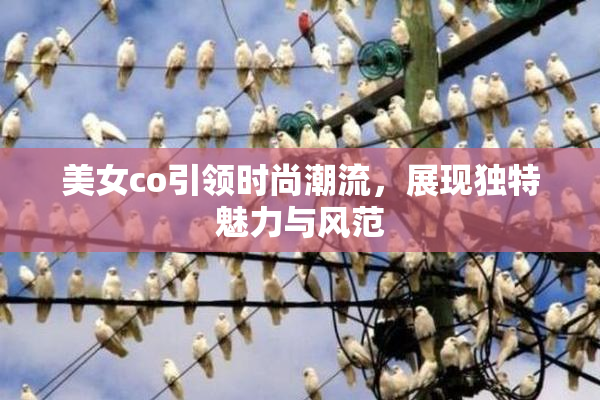 美女co引领时尚潮流，展现独特魅力与风范