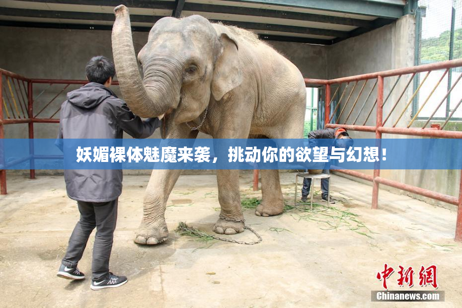 妖媚裸体魅魔来袭，挑动你的欲望与幻想！
