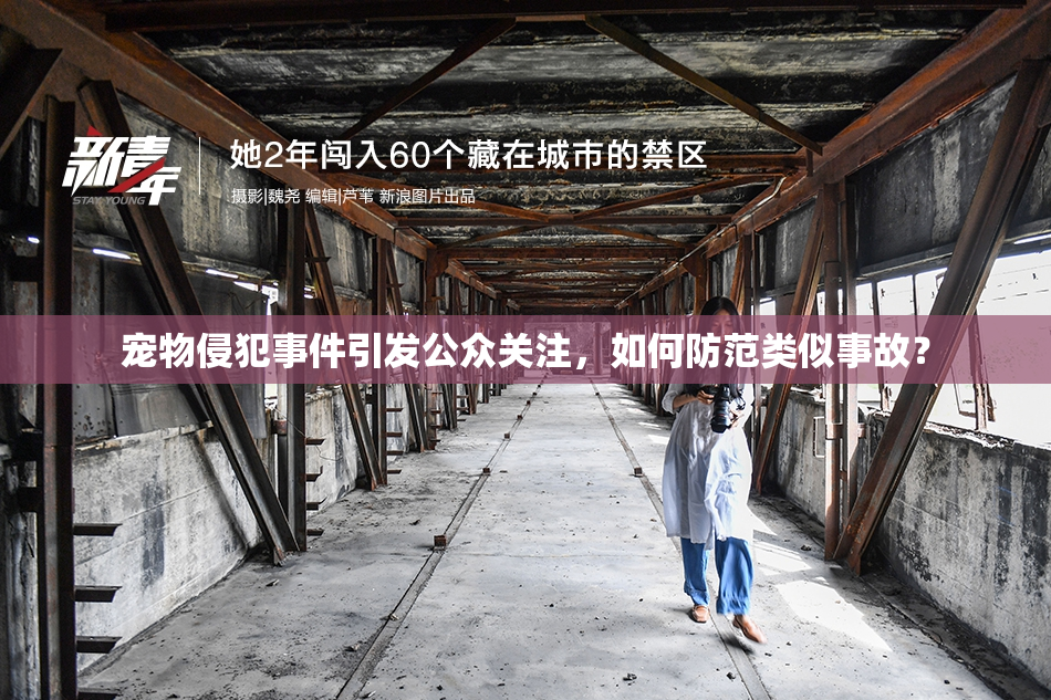 宠物侵犯事件引发公众关注，如何防范类似事故？
