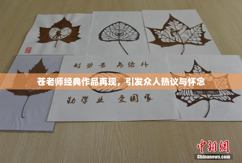 苍老师经典作品再现，引发众人热议与怀念