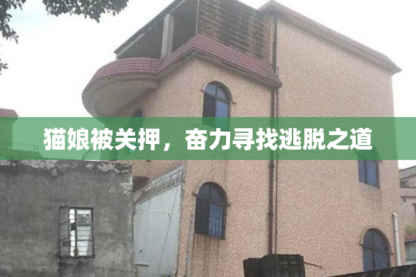 猫娘被关押，奋力寻找逃脱之道