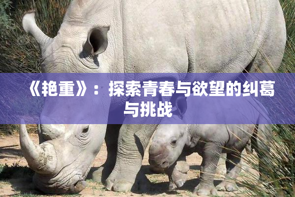《艳重》：探索青春与欲望的纠葛与挑战