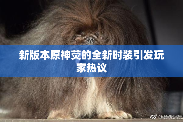新版本原神荧的全新时装引发玩家热议