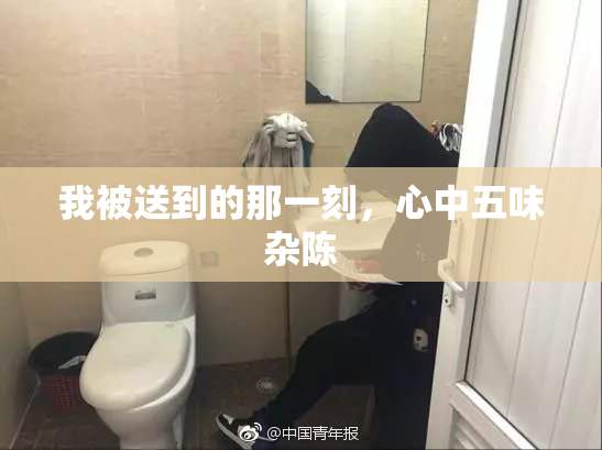 我被送到的那一刻，心中五味杂陈