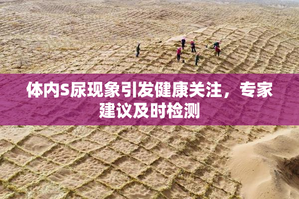 体内S尿现象引发健康关注，专家建议及时检测