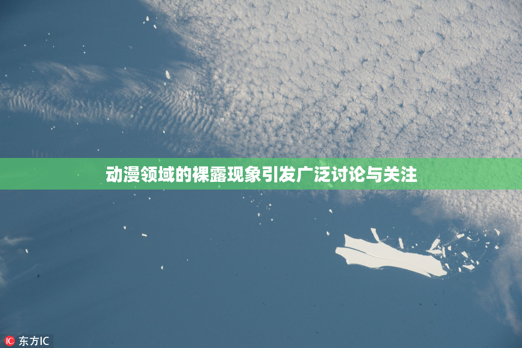 动漫领域的裸露现象引发广泛讨论与关注