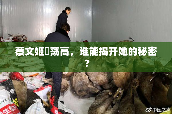 蔡文姬婬荡高，谁能揭开她的秘密？