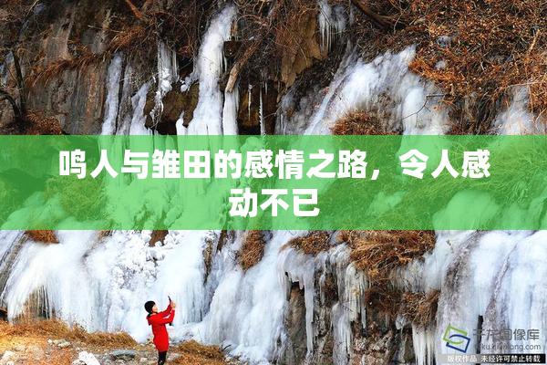鸣人与雏田的感情之路，令人感动不已