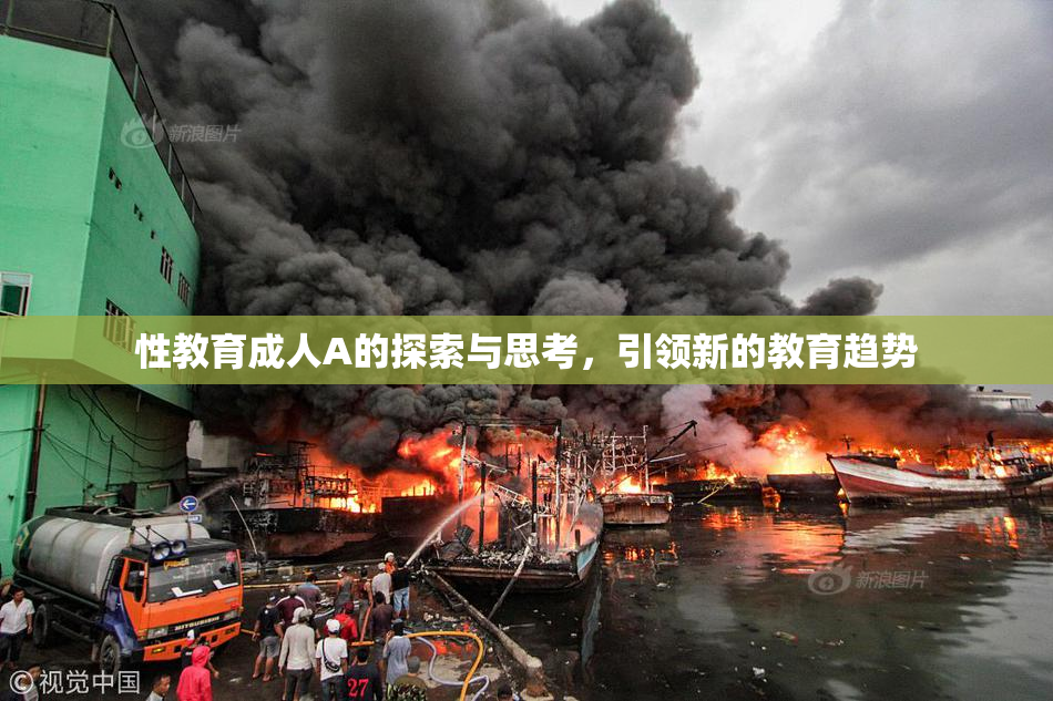 性教育成人A的探索与思考，引领新的教育趋势