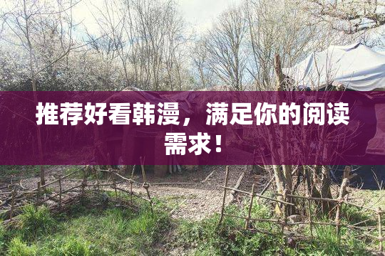 推荐好看韩漫，满足你的阅读需求！