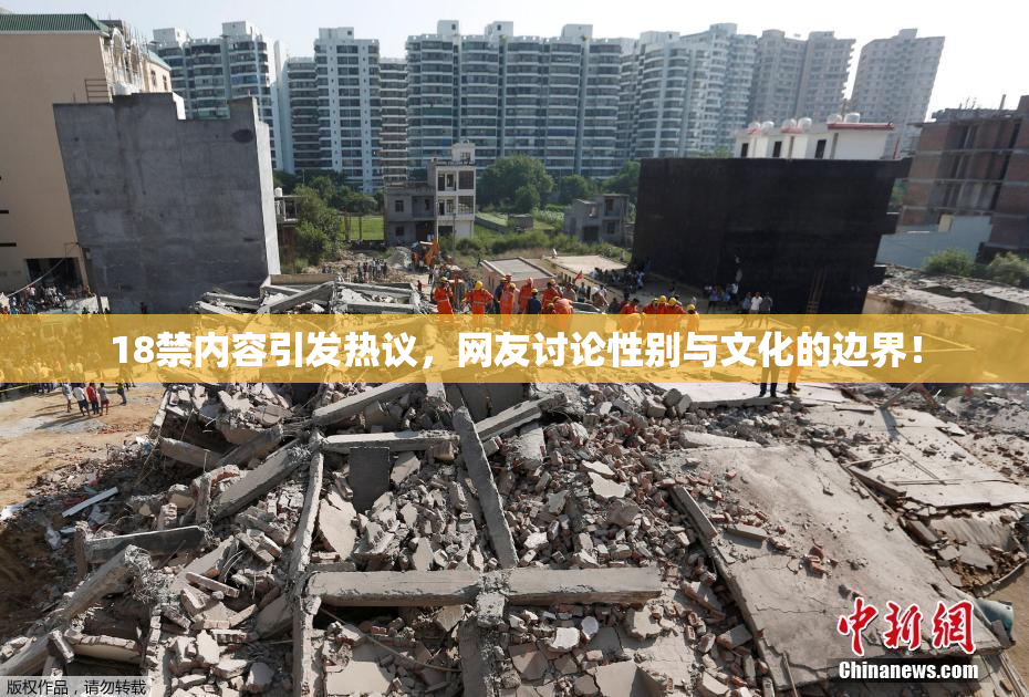 18禁内容引发热议，网友讨论性别与文化的边界！