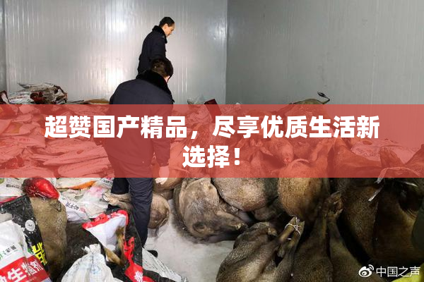 超赞国产精品，尽享优质生活新选择！