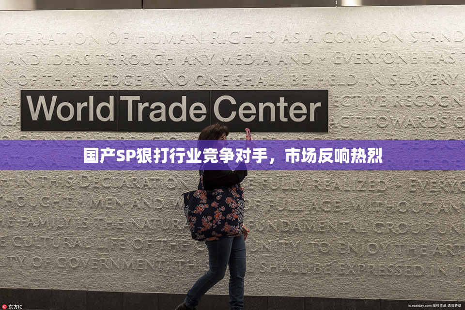 国产SP狠打行业竞争对手，市场反响热烈