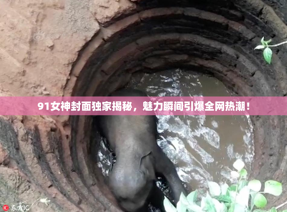 91女神封面独家揭秘，魅力瞬间引爆全网热潮！