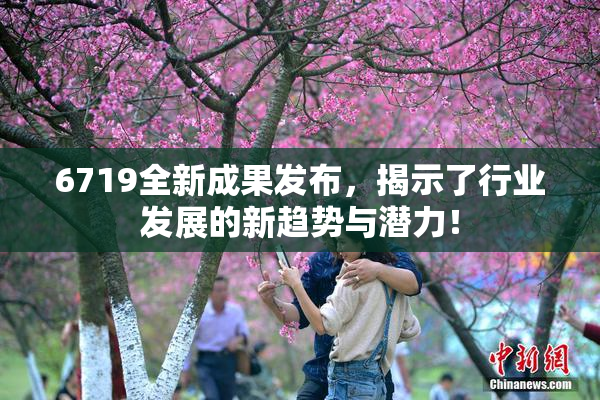 6719全新成果发布，揭示了行业发展的新趋势与潜力！