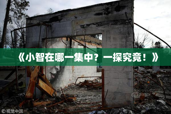 《小智在哪一集中？一探究竟！》