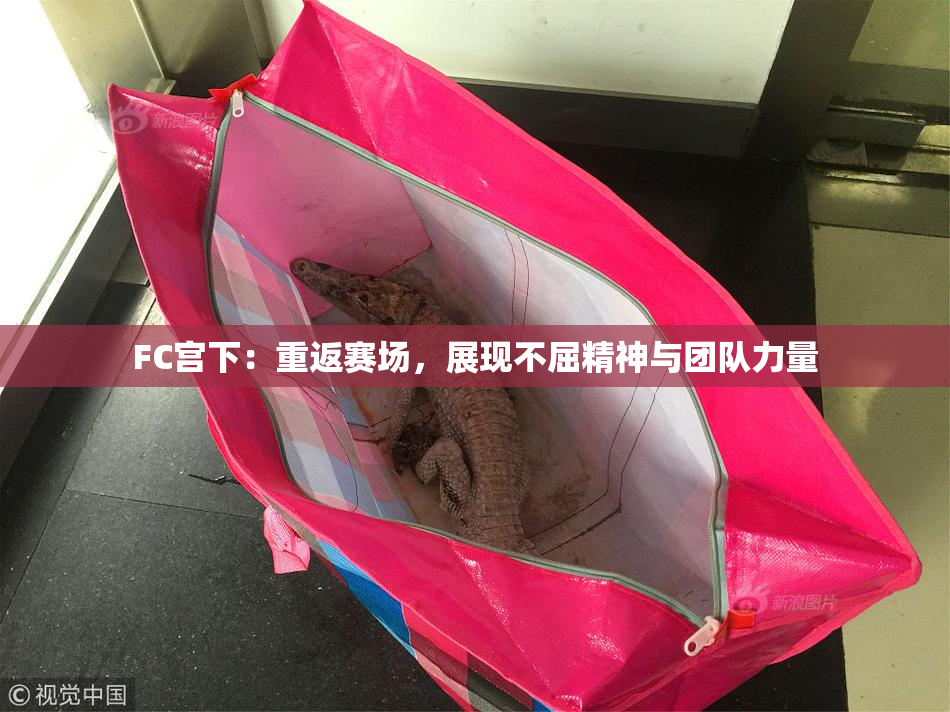 FC宫下：重返赛场，展现不屈精神与团队力量