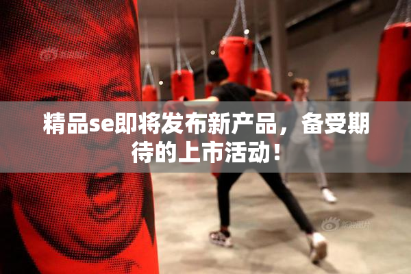 精品se即将发布新产品，备受期待的上市活动！