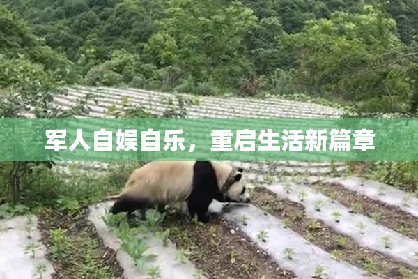军人自娱自乐，重启生活新篇章