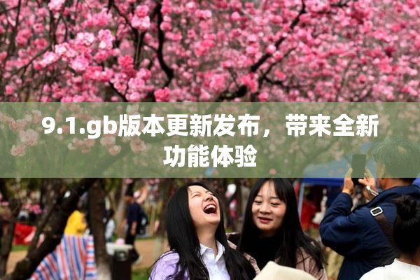 9.1.gb版本更新发布，带来全新功能体验